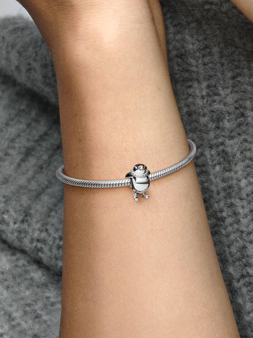 Charm Pingüino Esquiador